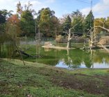 jezioro w denderoparku